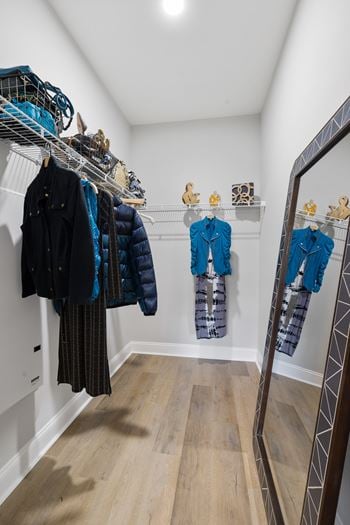 Walk-in closet with wire shelving and mirror